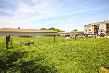 Dog park